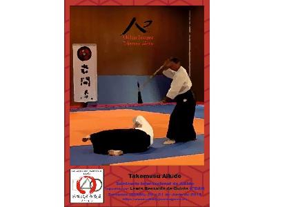Noticia: TAKEMUSU AIKIDO